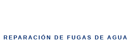 logo pico