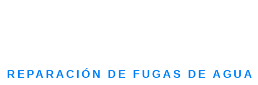 logo footer
